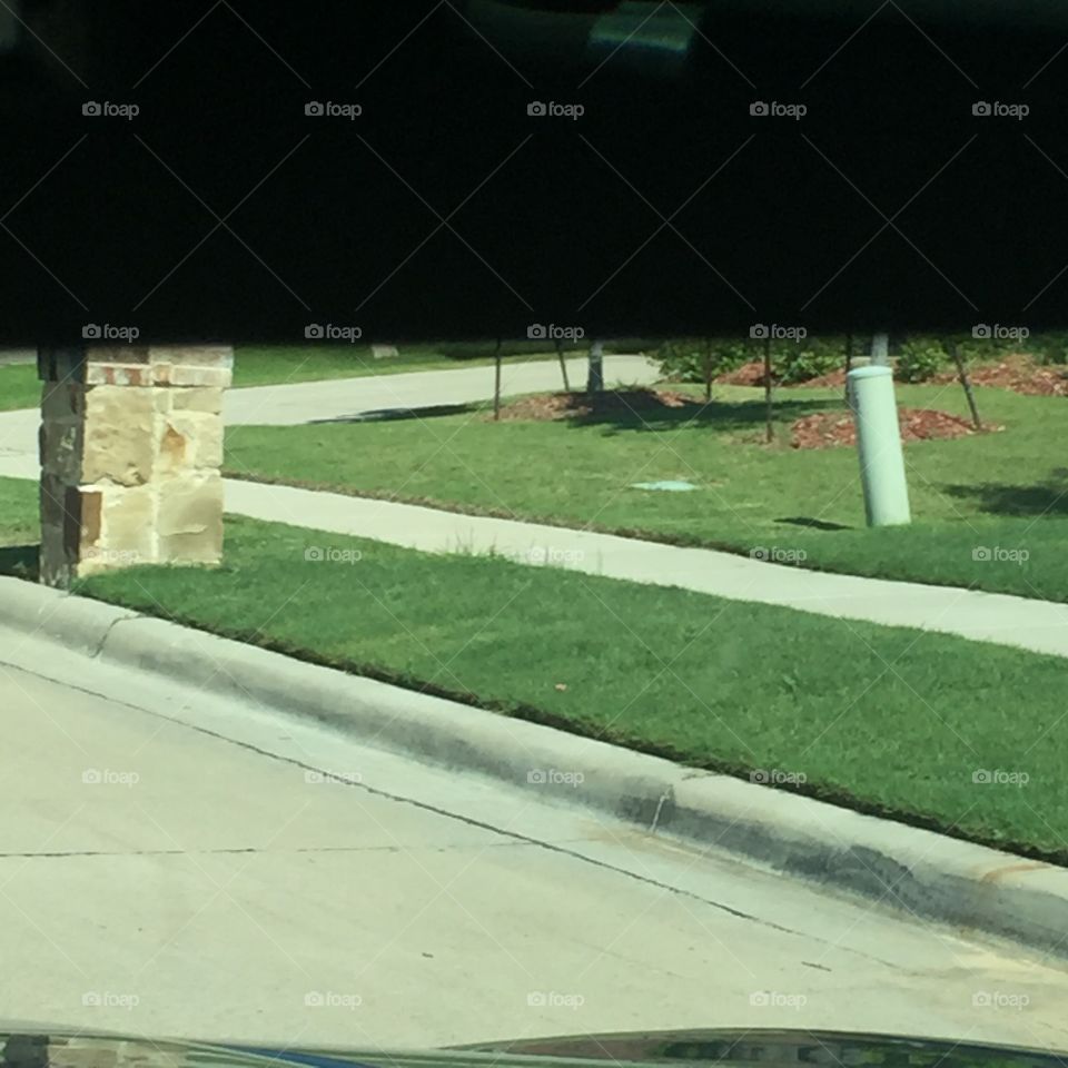 Landscape, No Person, Competition, Park, Grass