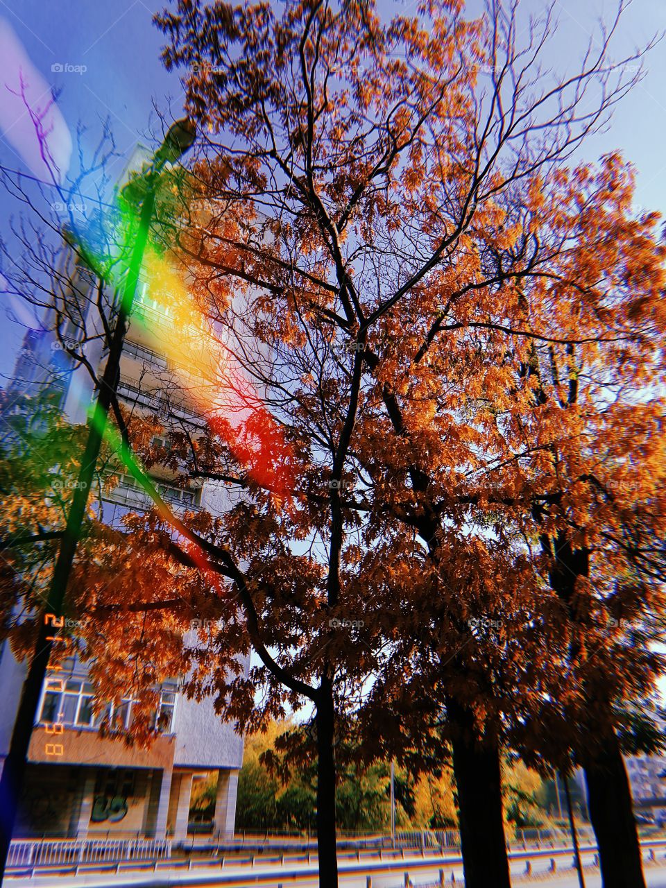 Autumn in the city