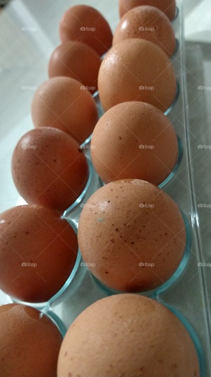 Ovos.eggs