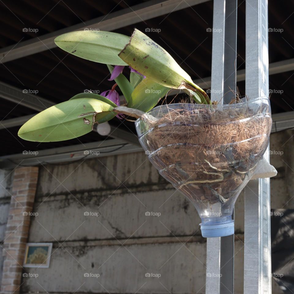 Re-use of mineral water plastic bottle.