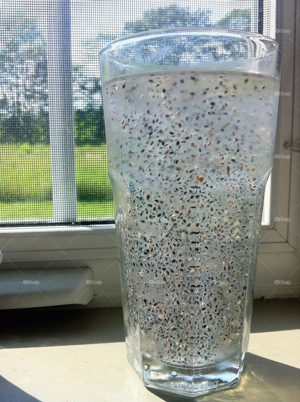 Chia seeds in water