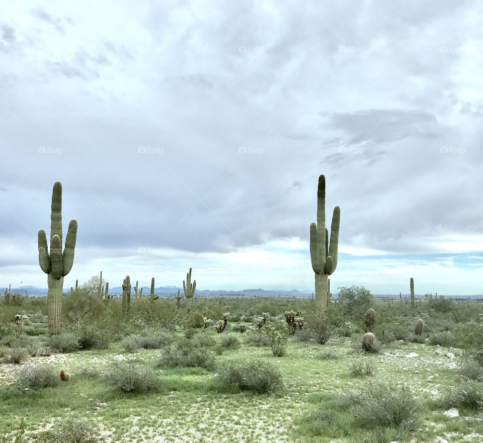 Blue and Purple Desert Sky