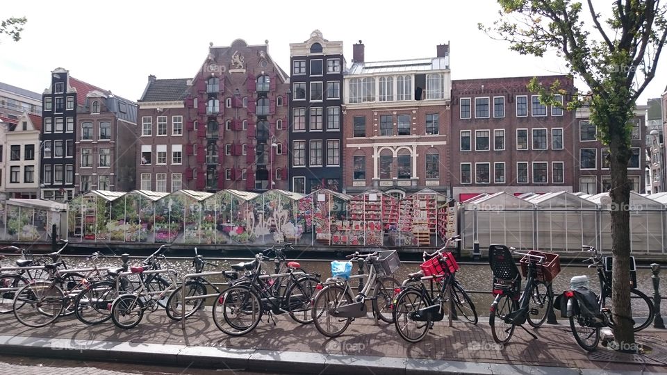 BICYCLE PARKING AT THE AMSTERDAM FLOWER MARKET