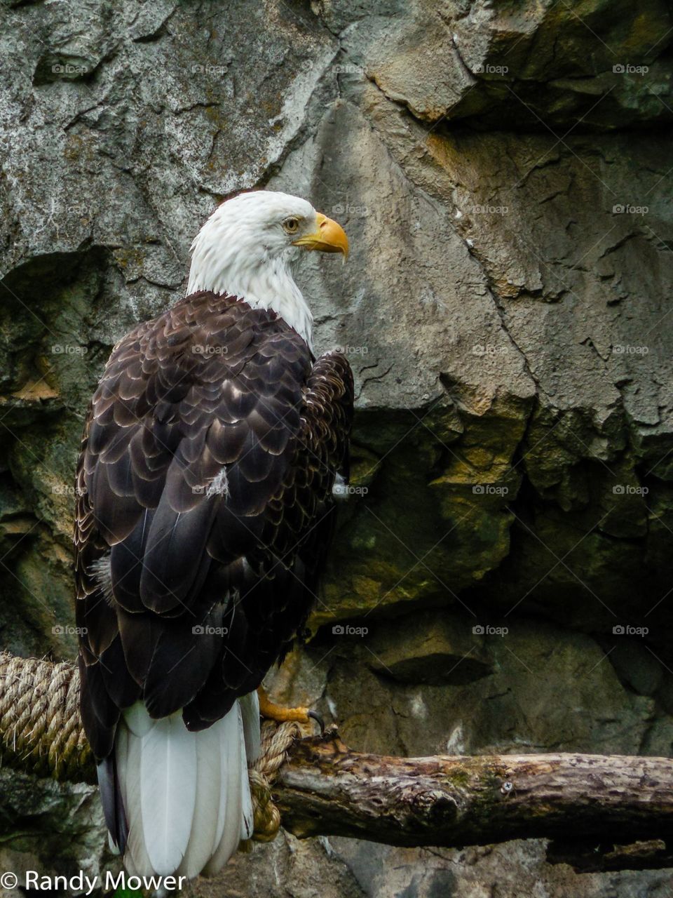 Rodger Williams Park Zoo
Providence RI