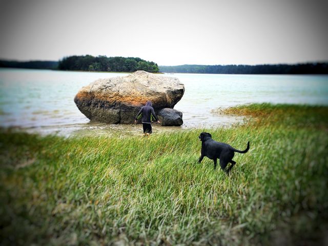 Morning exploration 