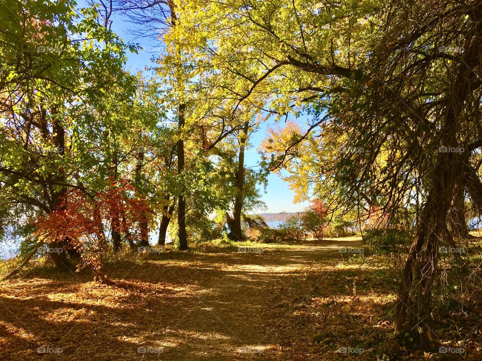 Walking path at Jones Point Park in Alexandria Virginia in the fall