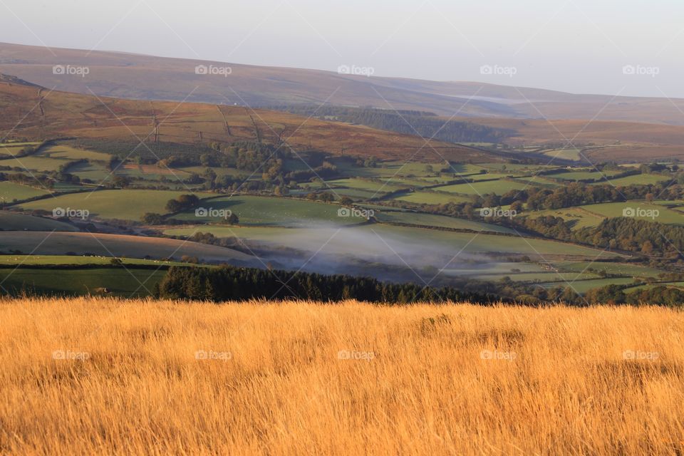 Morning mist Dartmoor