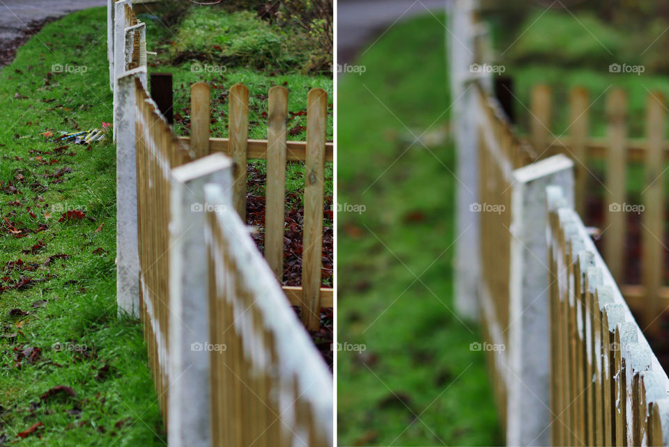 Fence
Two images showing the effect of changing the depth of field and a narrow aperture. One close up one focused on distance. 