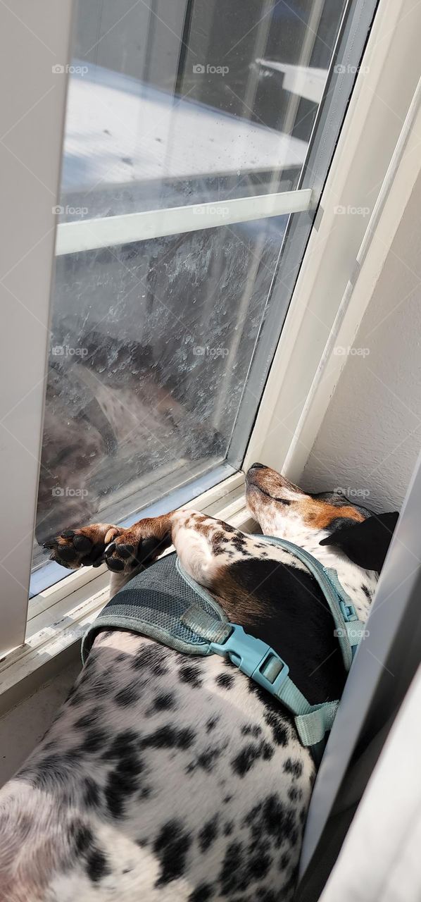 working on my tan...