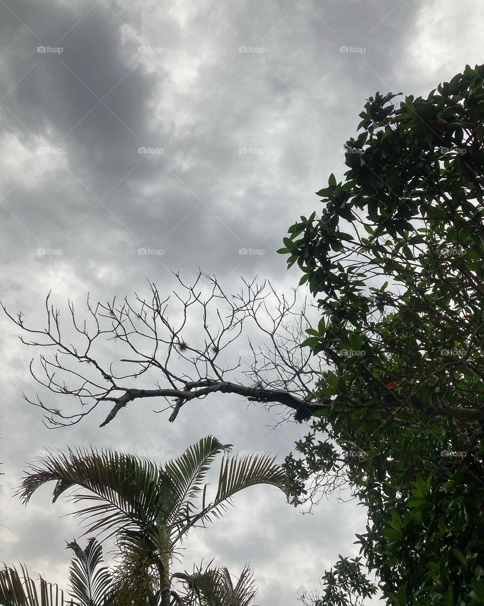 🌄🇺🇸 An extremely beautiful dawn in Jundiaí, interior of Brazil. Cheer the nature! / 🇧🇷 Um amanhecer extremamente bonito em Jundiaí, interior do Brasil. Viva a natureza! 
