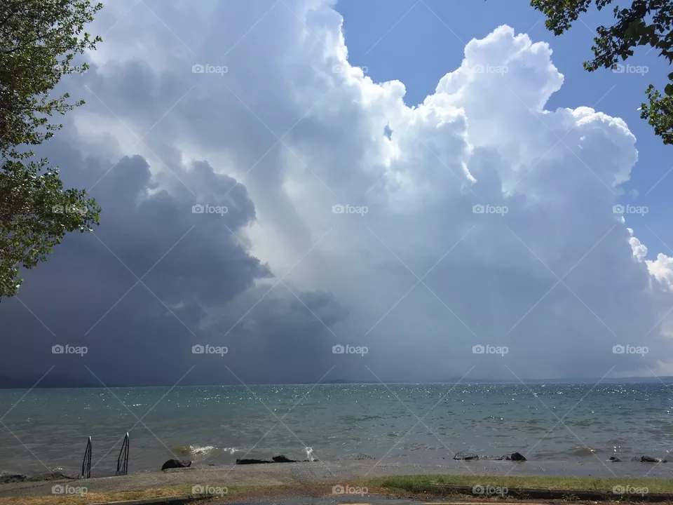 Wether 