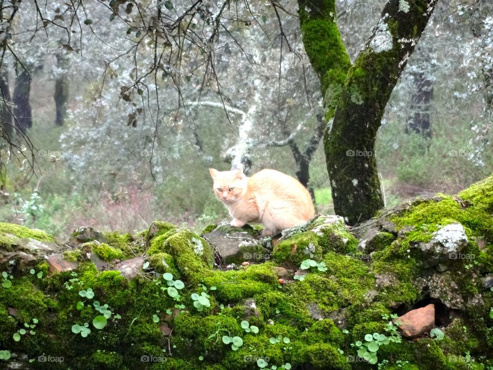 Hiking outside Sevilla, Spain