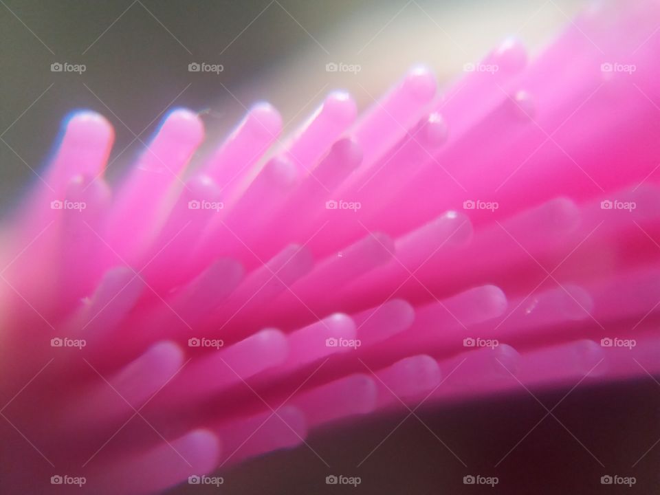 Close-up of silicone oil pink brush