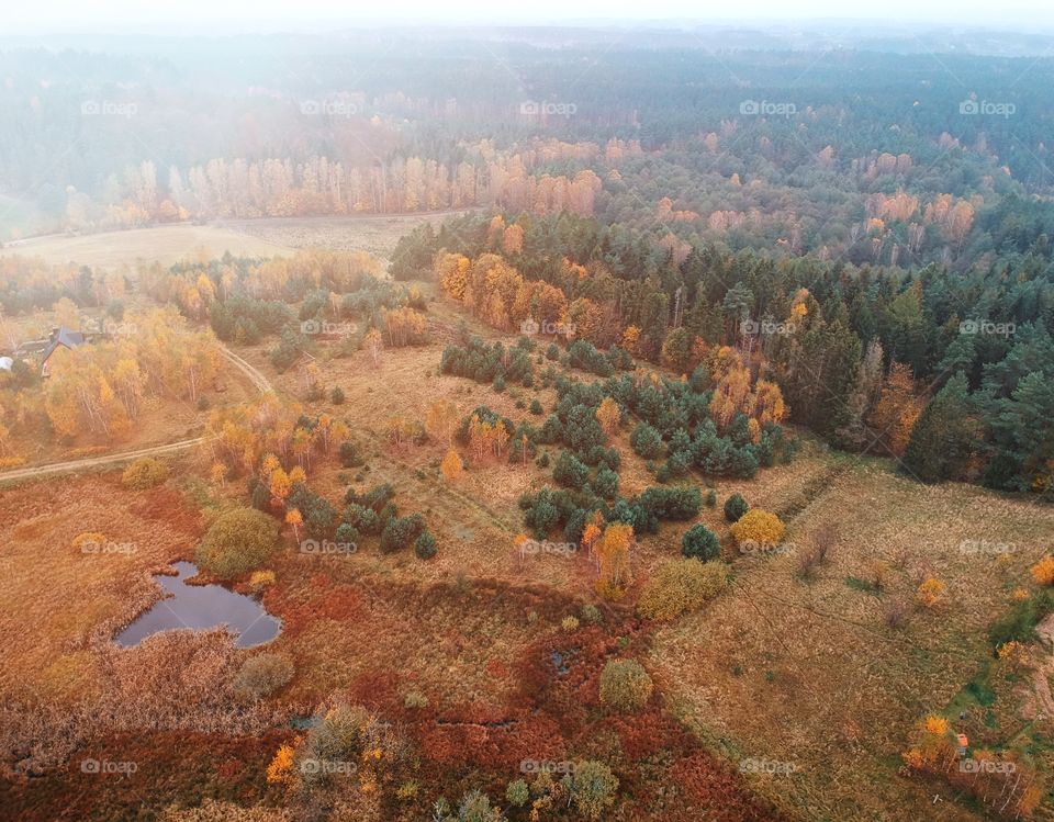 Autumn in Poland