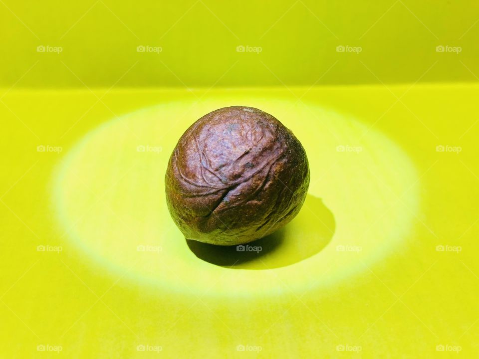 Vein of Avocado seed 