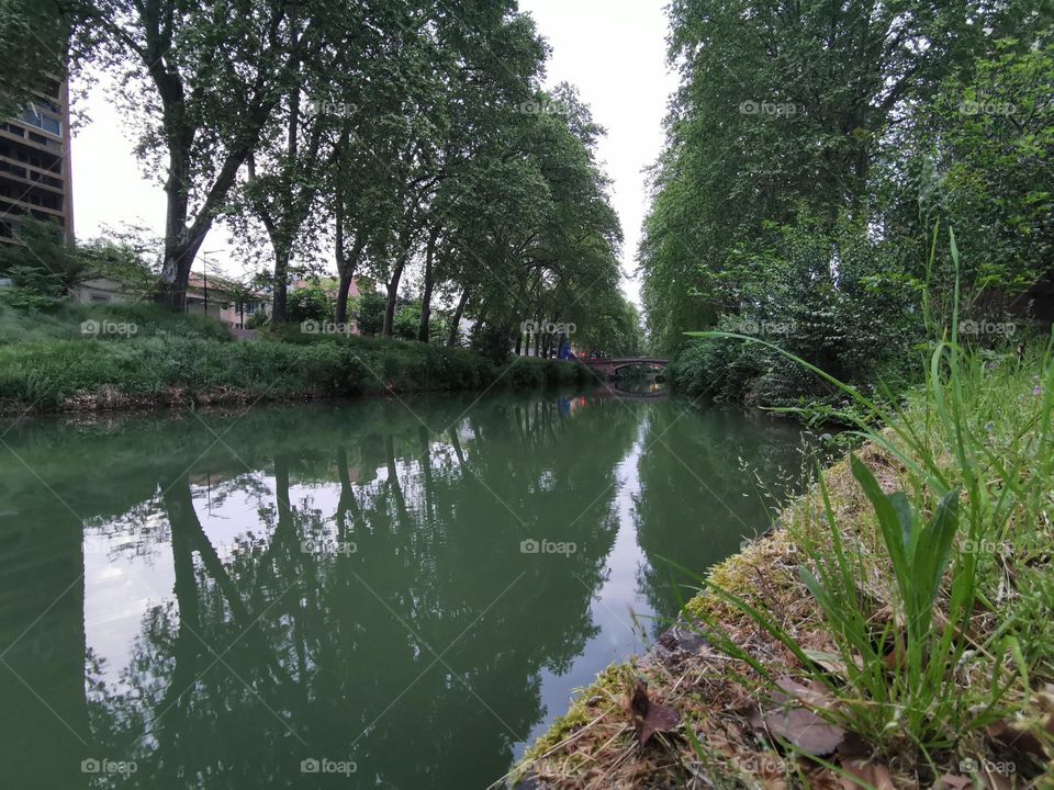 Canal du midi