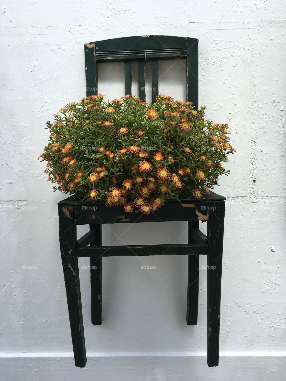 Ornamental chair with flowers on a wall, Ostuni, Italy