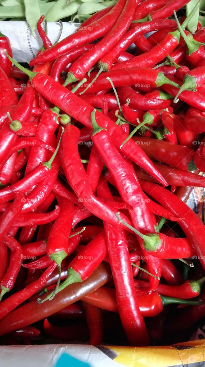 Red pepper