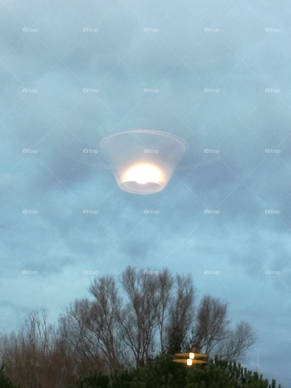 Two lamps inside and a tree outside. Trought the window