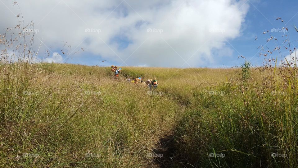 Porters in the hike