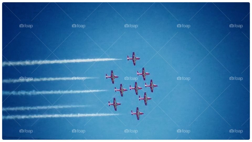 Snowbirds of Canada 01