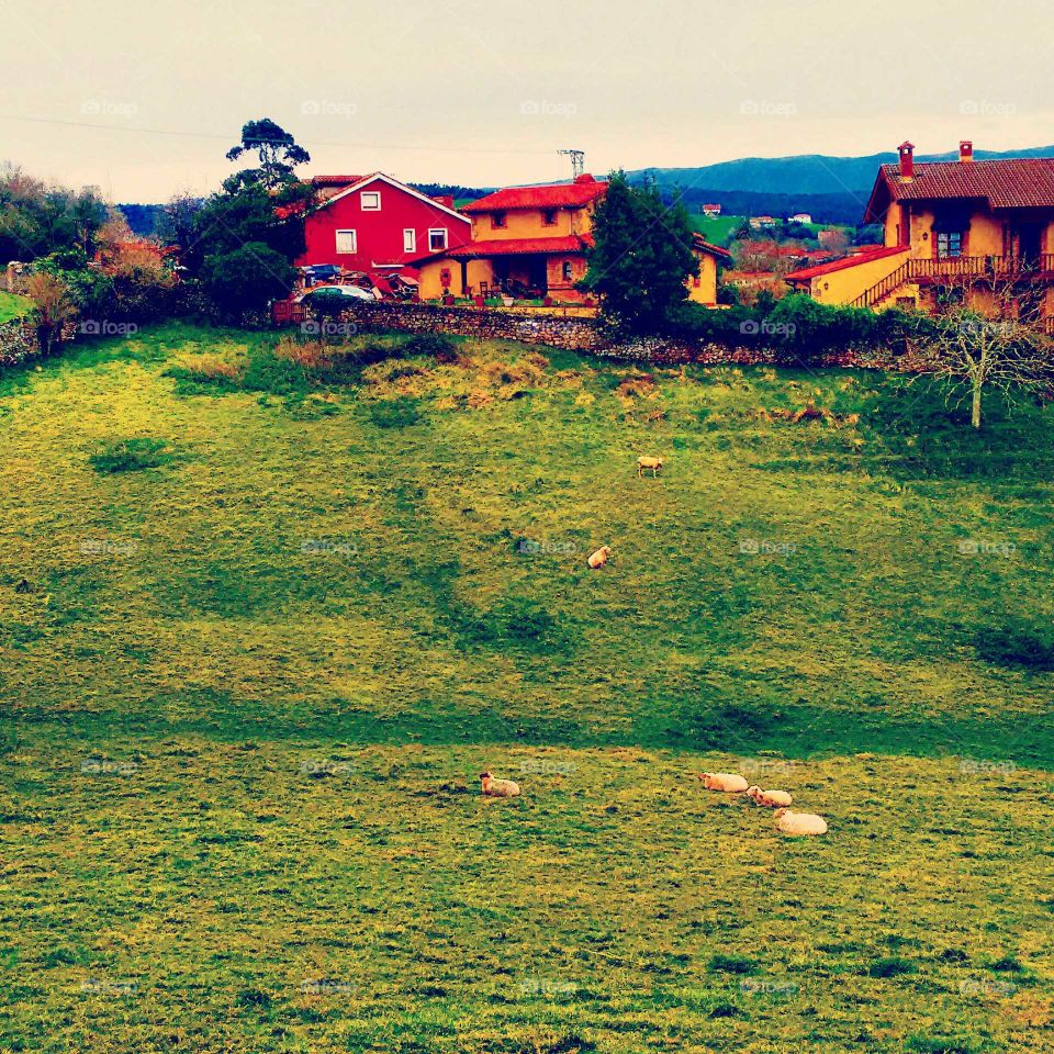 paisaje Cantabria