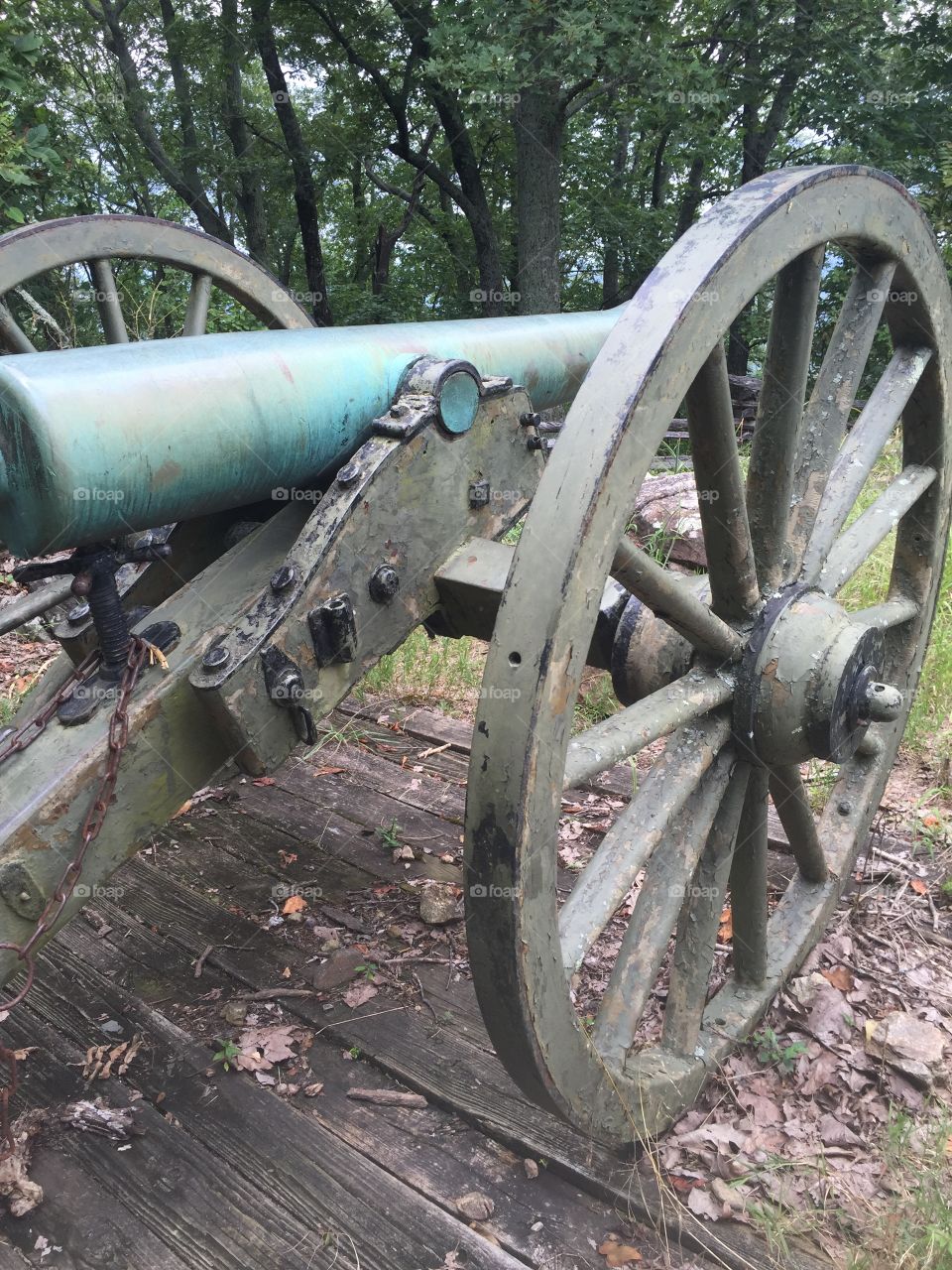 Cannon