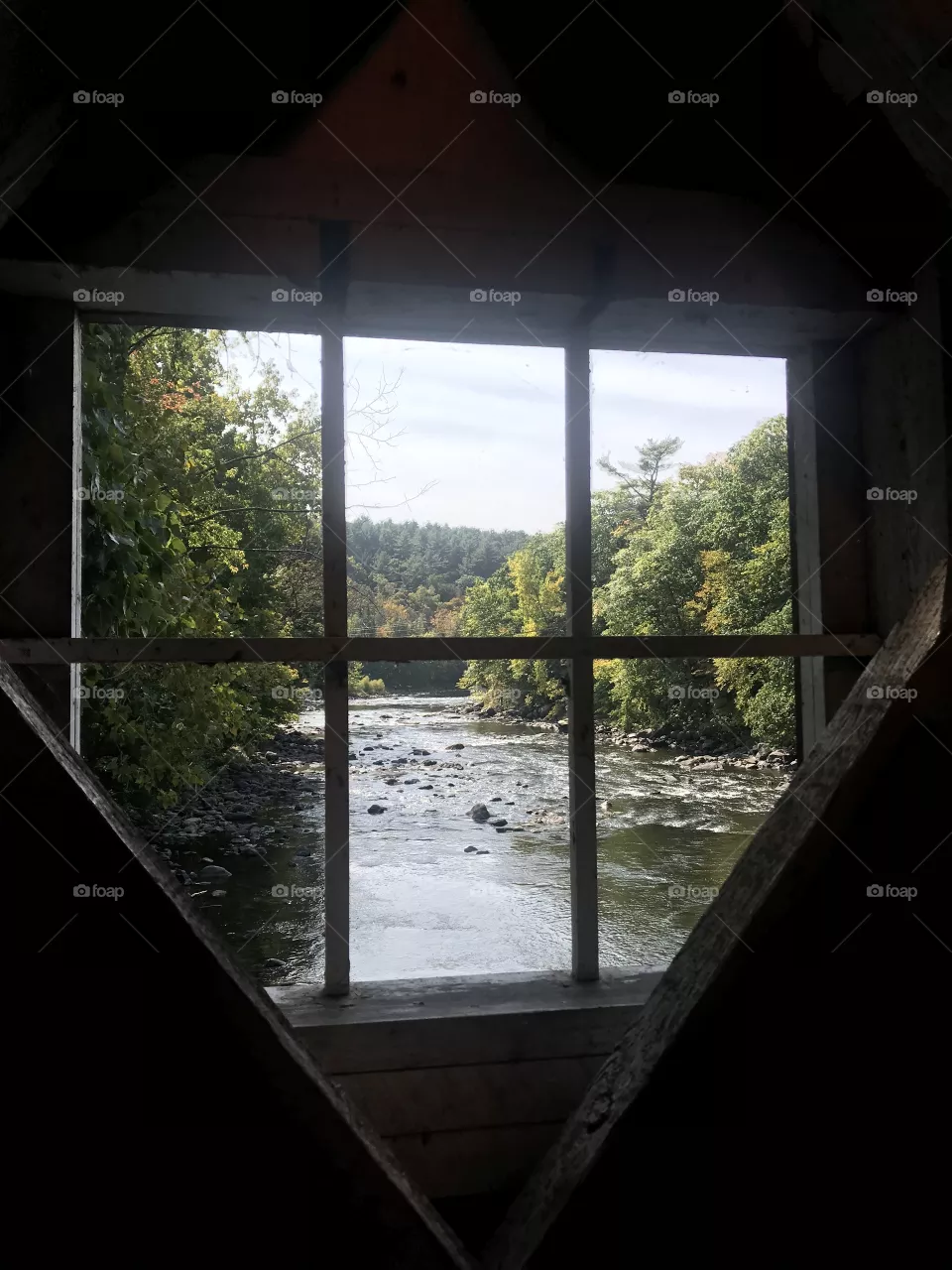 A bridge with a view 