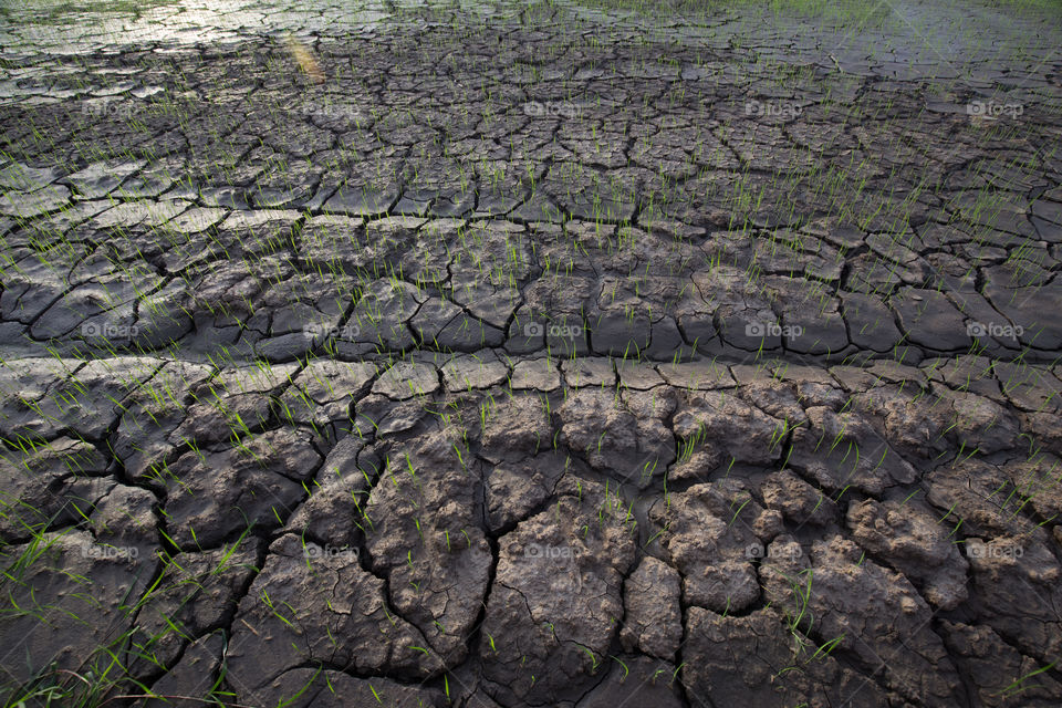 Clay dirt in the farmland 