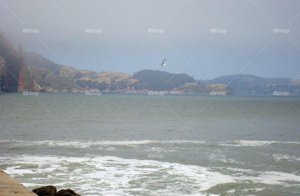 Golden Gate fog
