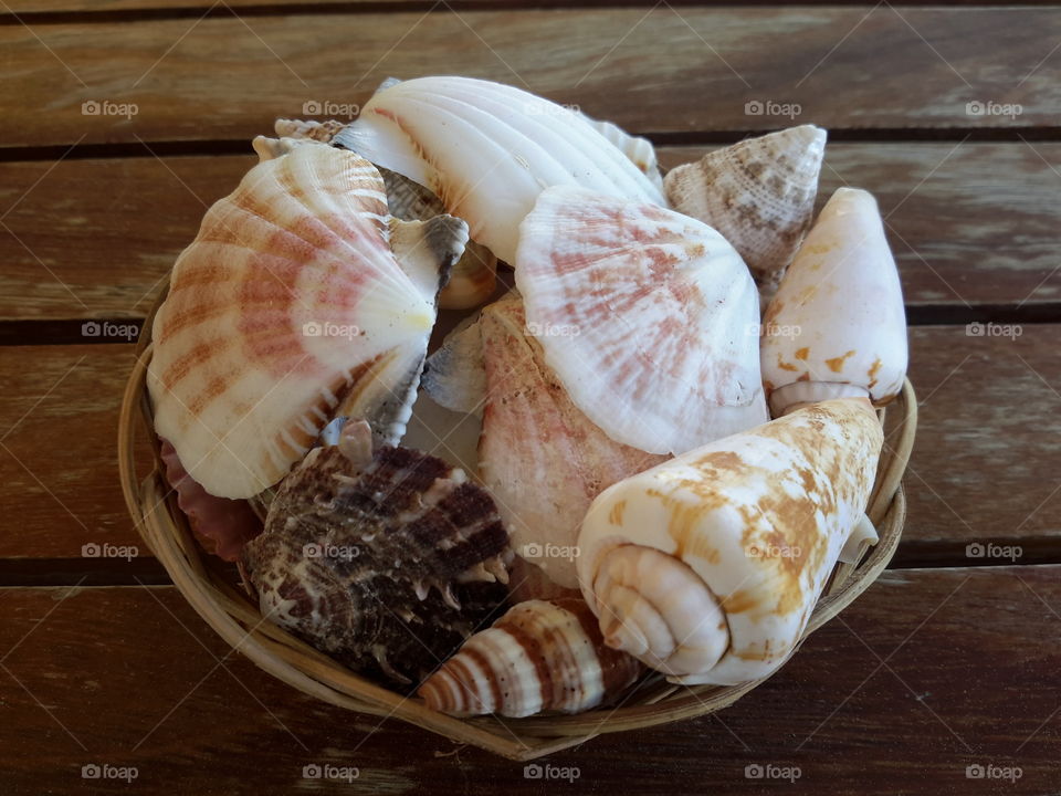 Basket of seashells on table
