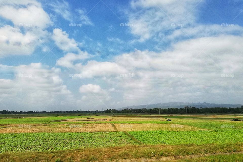picture was taken from the inside of moving train