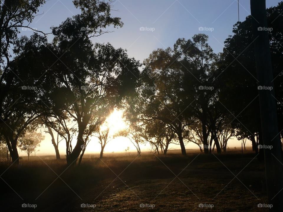 Sunrise Bushland