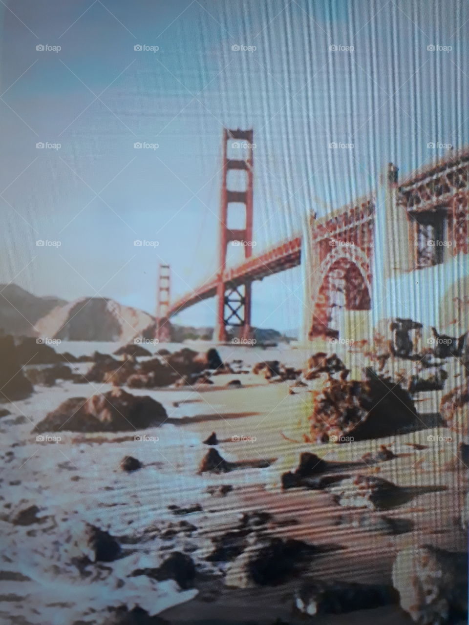 paisagem marrom com pontes