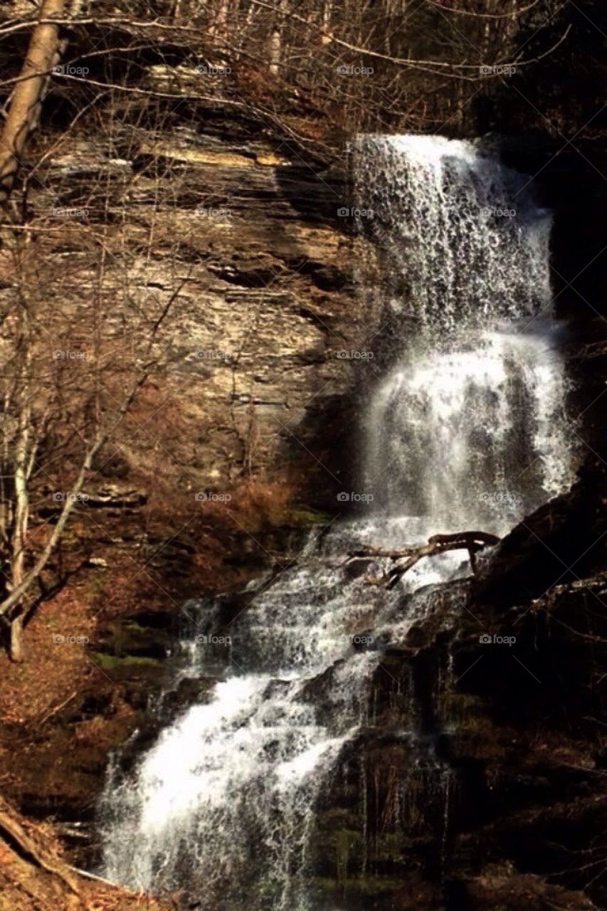 Wooded Waterfall