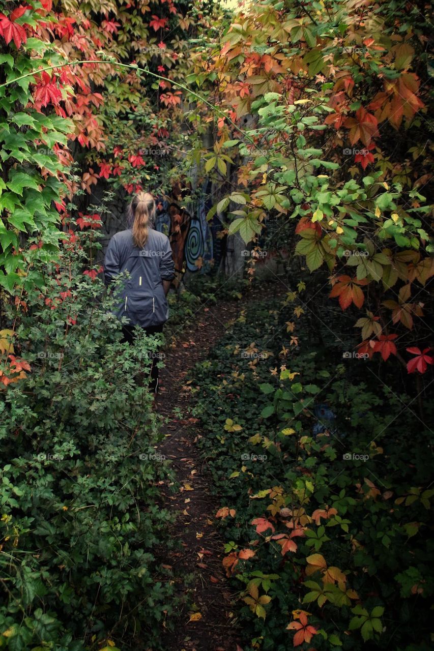 Rear view of a woman walking on a footpath through autumn colored plants