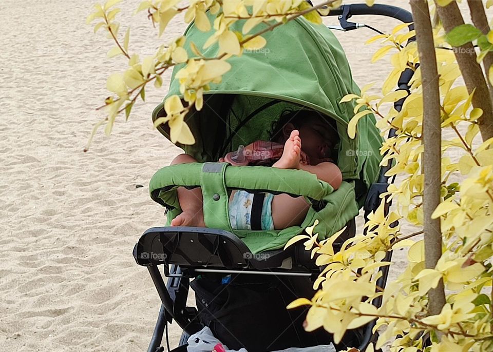 Sweet Baby Sleeping in a Stroller on the Beach