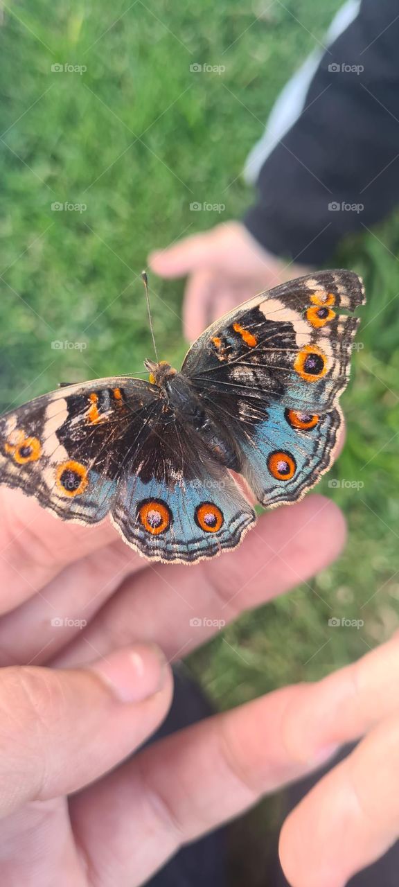 Nature is more than it seems