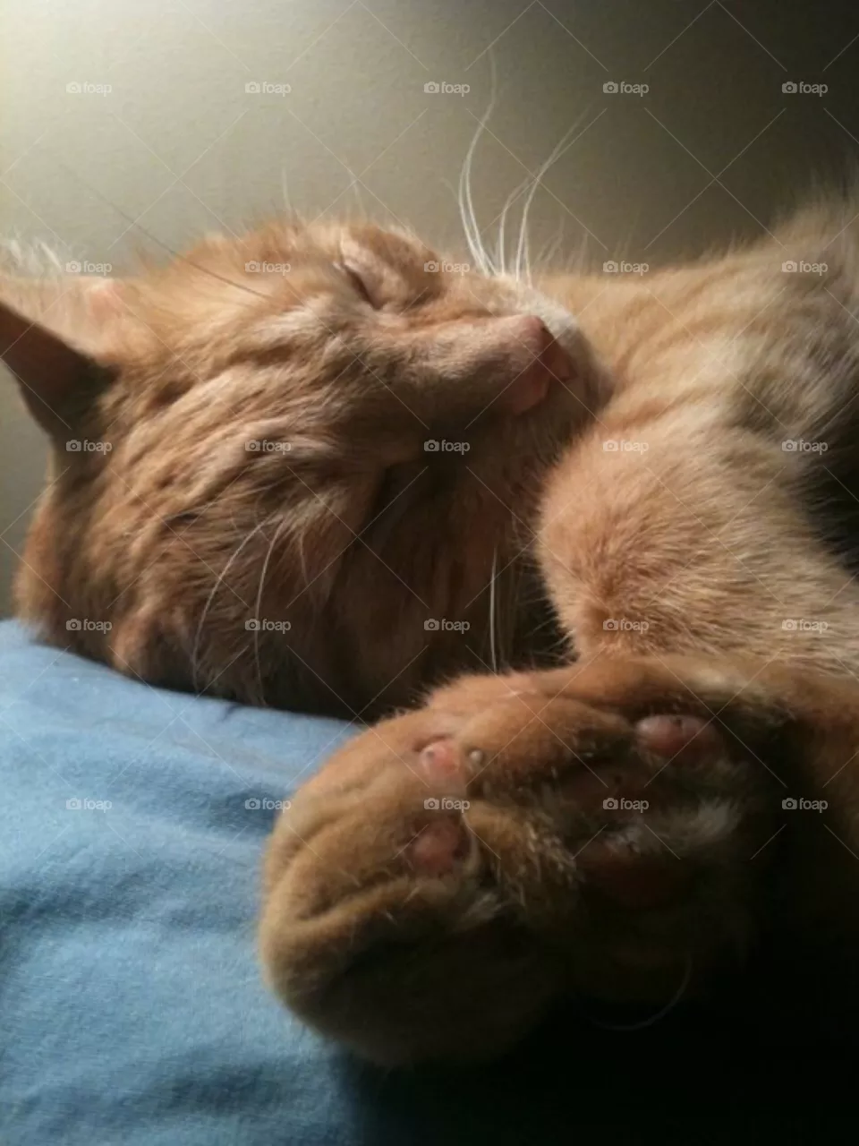 Sleeping