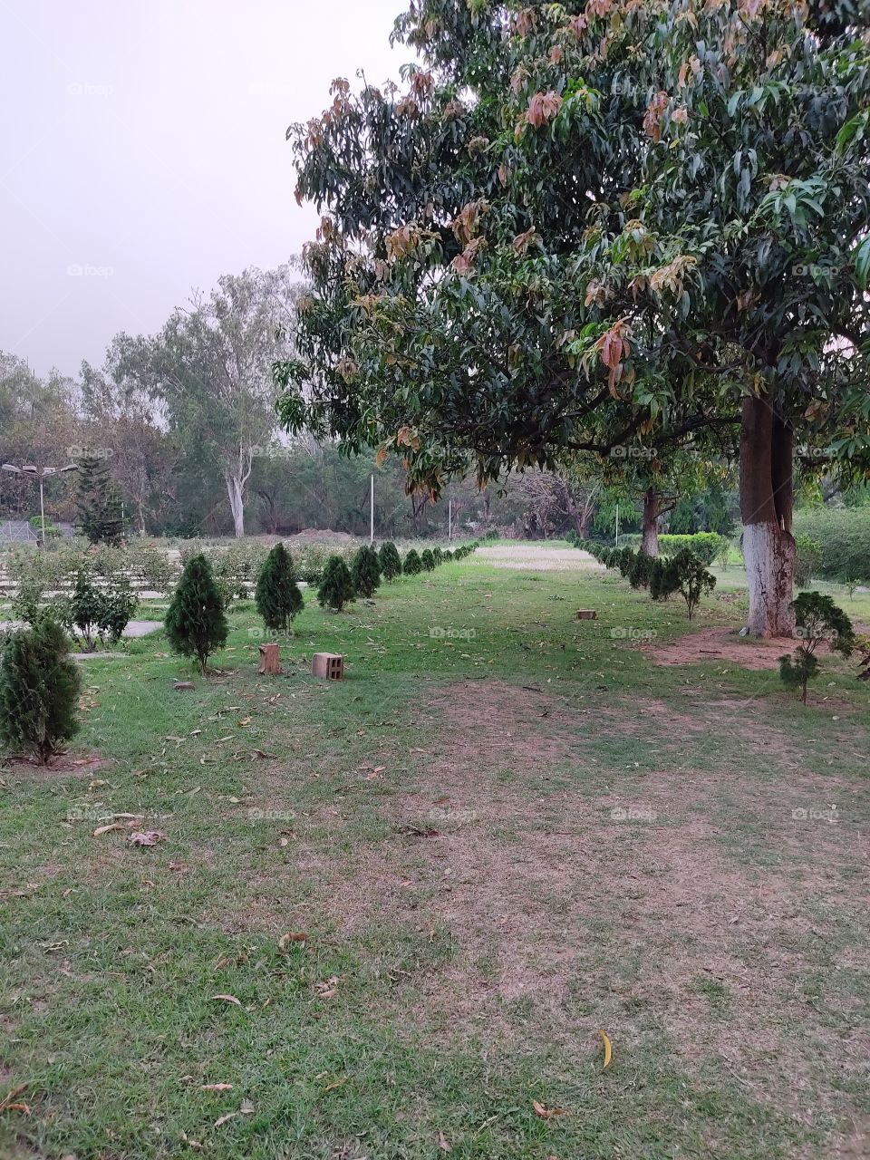 Beautiful😍 Path👣👣👣👣👣