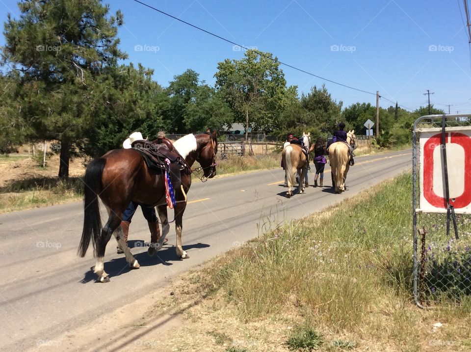 Horses on road with Mexican riders