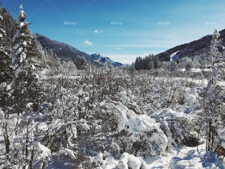 The sunny snow valley. 