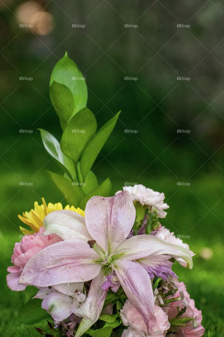 Colorful bouquet green grass background