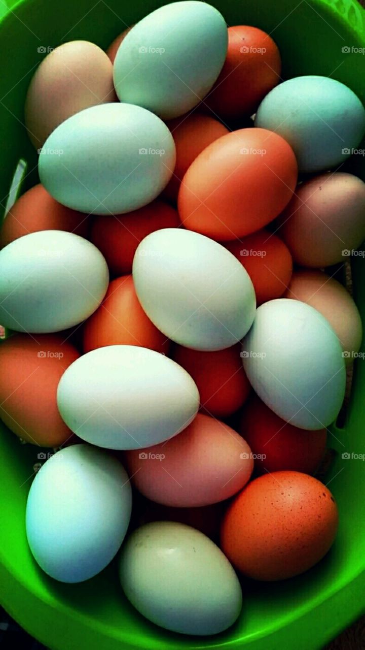 Our Eggs!. Laid by our very own Americauna Easter Eggers ♡
