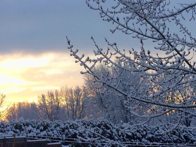 Winter/ last snowfall
