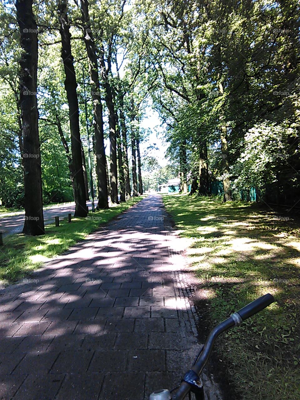 Park In Leiden