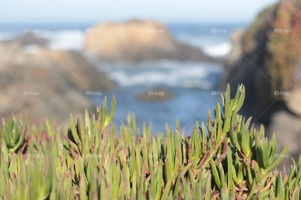 Calm beach view 