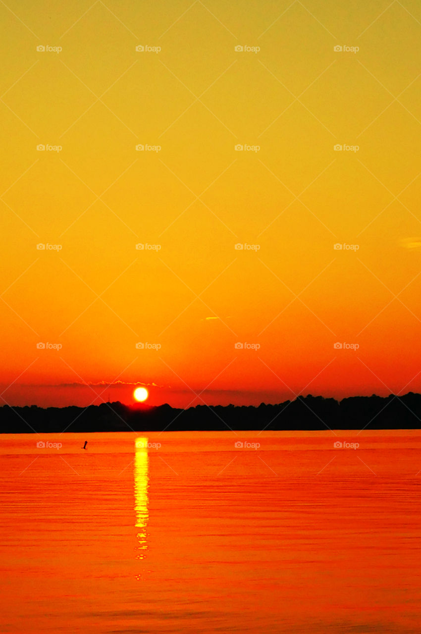 Scenic view of sea during sunset