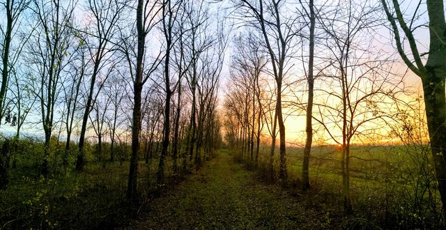 romantic sunset