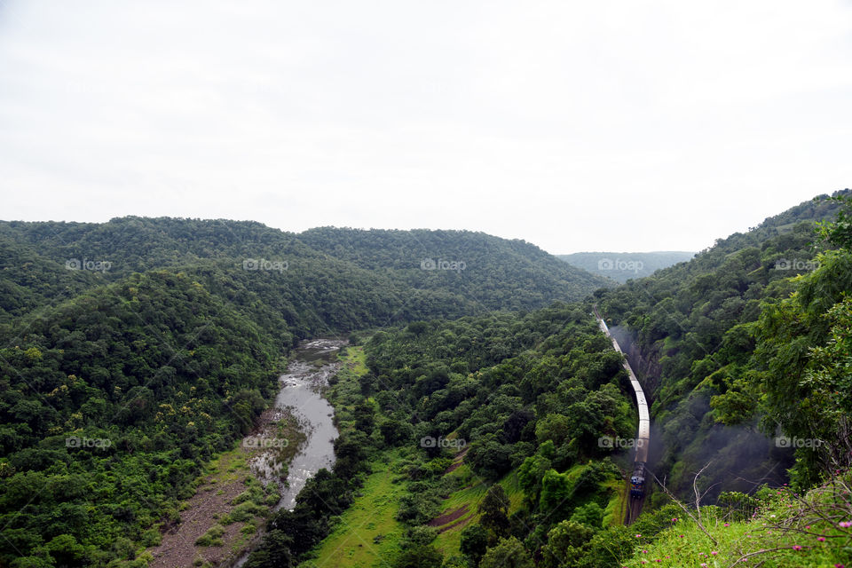 a train move in forest